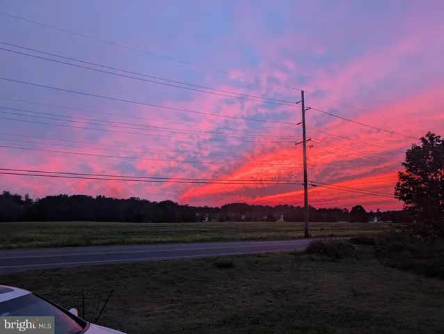 wooden floor and windows in an empty room