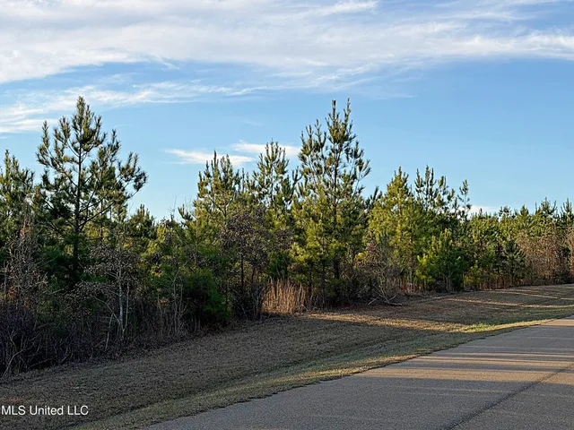 $52,000 | 0 Airport Road, Carthage, MS 39051