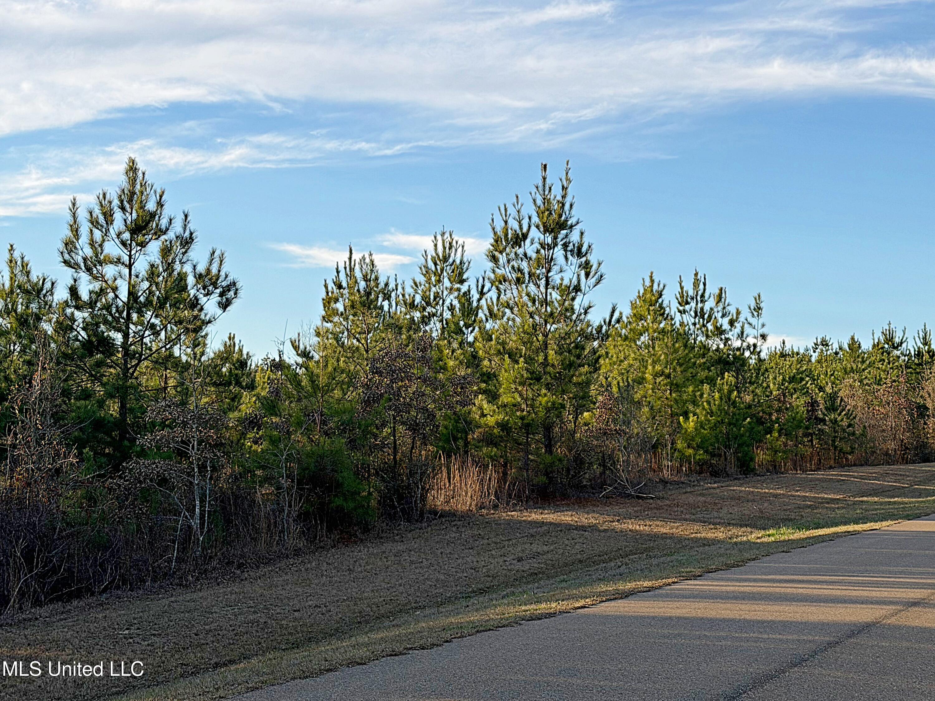 Beautiful Home Sight