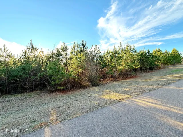 $52,000 | 0 Airport Road, Carthage, MS 39051