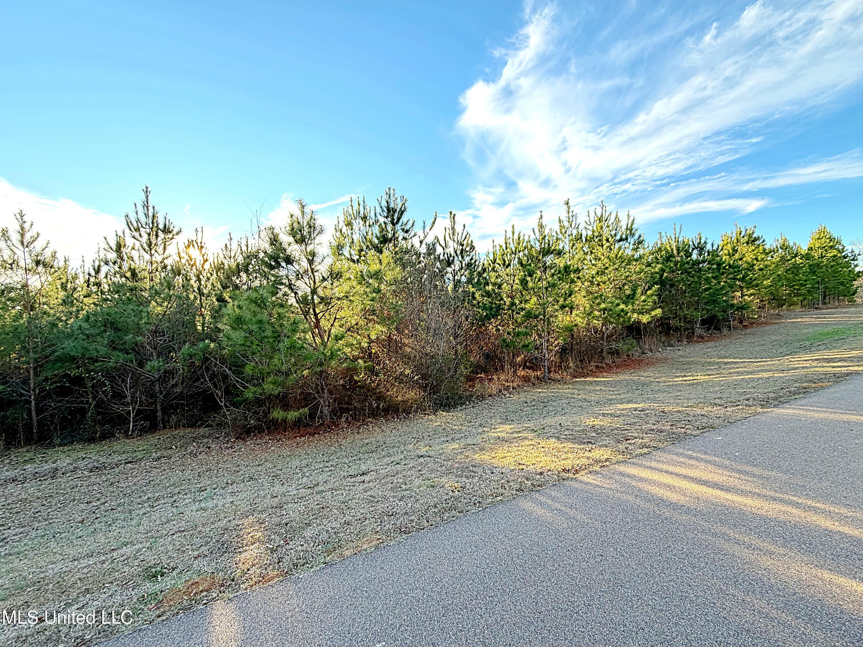 0 Airport Road Carthage, MS 39051 - Photo 4 of 6 4