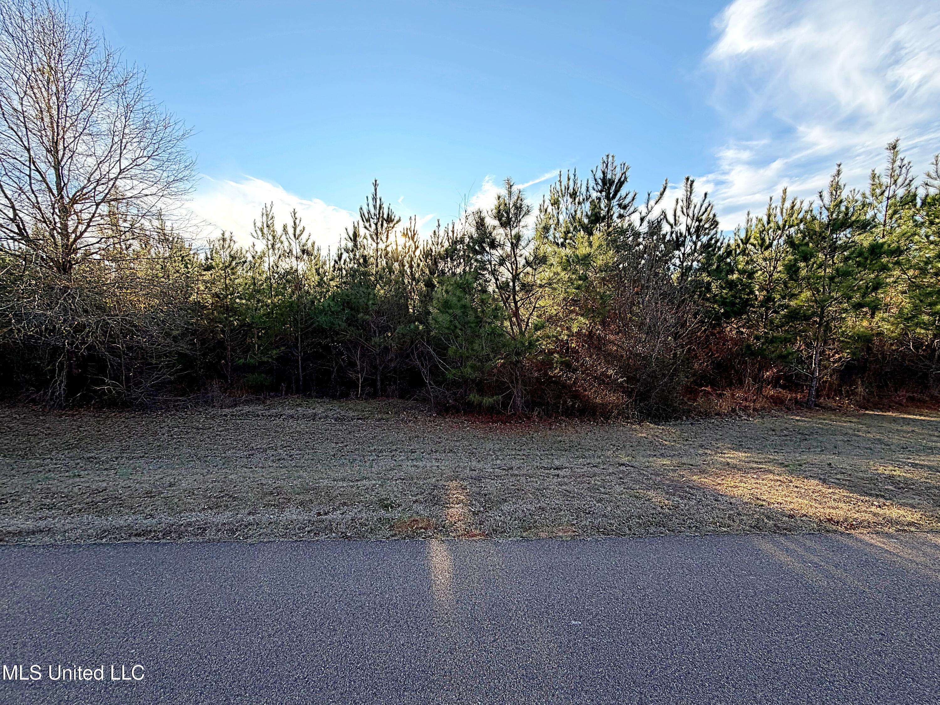 0 Airport Road Carthage, MS 39051 - Photo 5 of 6 3