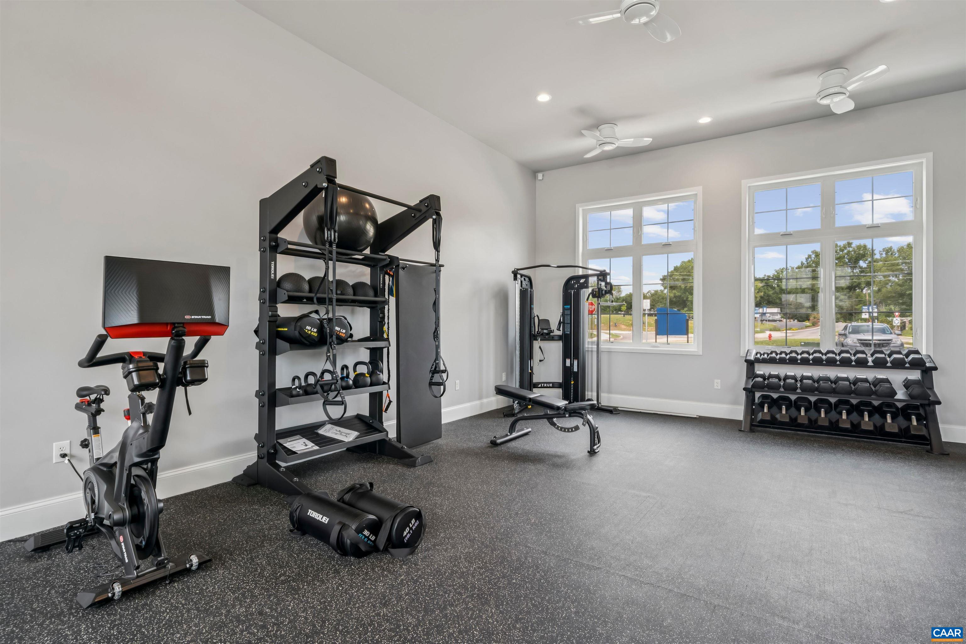 237 Trailfork Road Barboursville, VA 22923 - Photo 32 of 40 a view of a room with gym equipment