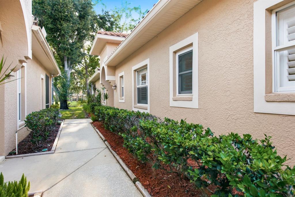 3857 Timber Ridge Court Palm Harbor, FL 34685 - Photo 5 of 56