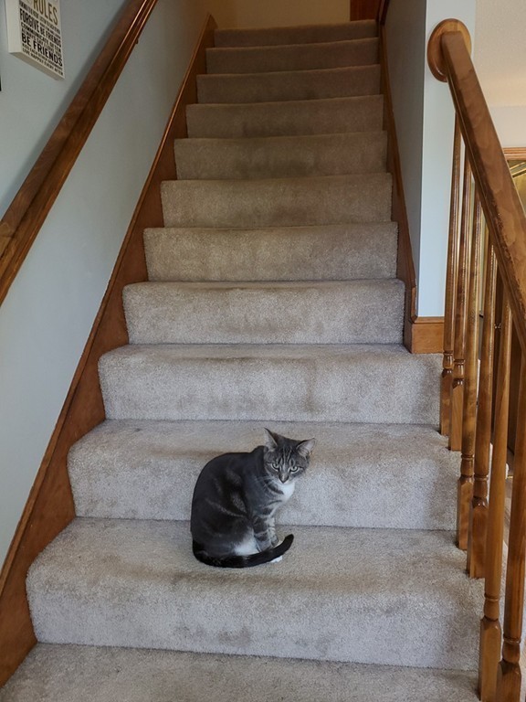 508 Ocean Meadows, Unit 508 Fairhaven, MA 02719 - Photo 13 of 26