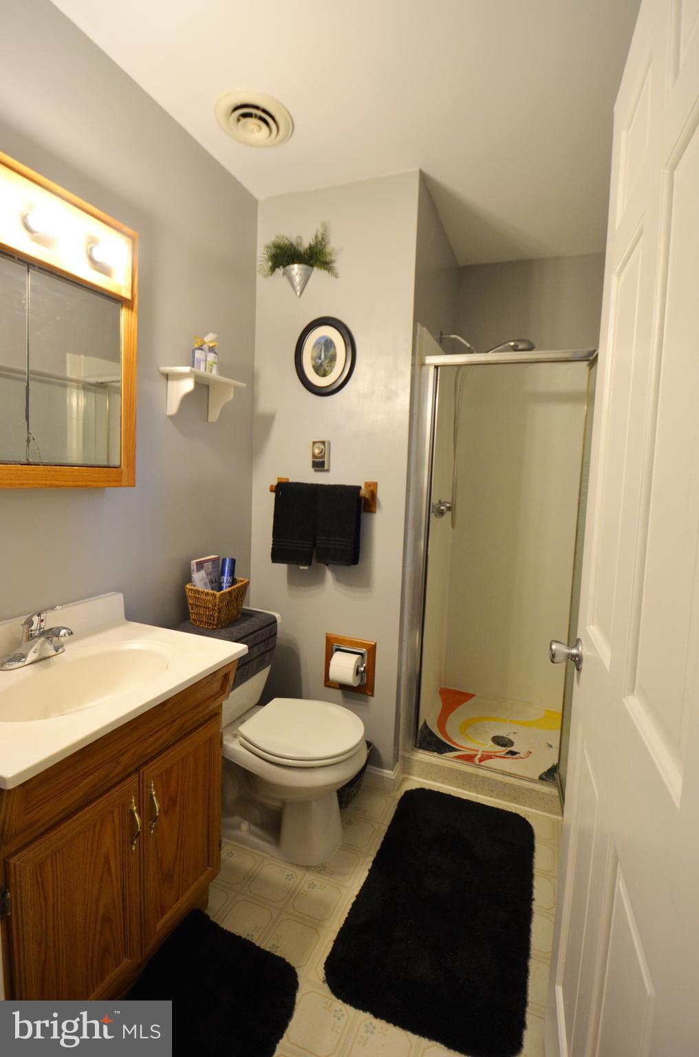 5421 Ridge Road Mount Airy, MD 21771 - Photo 37 of 72 Fresh gray paint, primary bedroom full bath