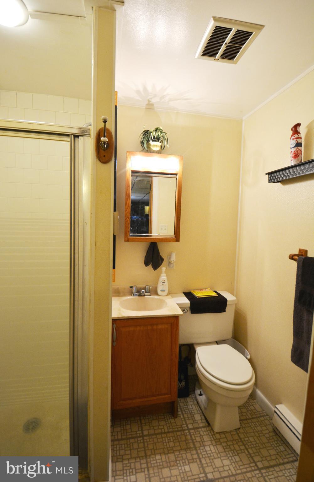5421 Ridge Road Mount Airy, MD 21771 - Photo 54 of 72 Bathroom # 3 on lower level
