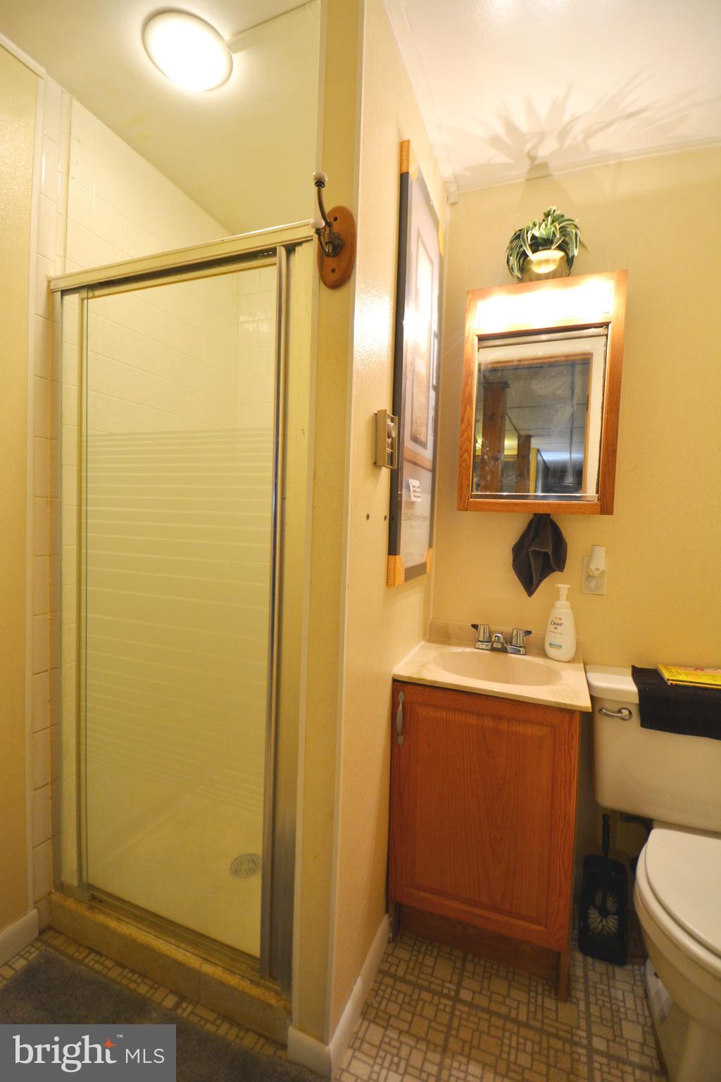 5421 Ridge Road Mount Airy, MD 21771 - Photo 55 of 72 Shower ,full bath # 3