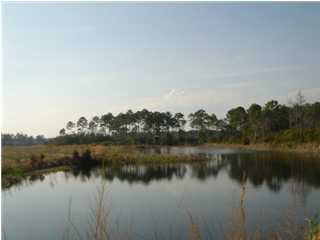191 Big Buck Road Carrabelle, FL 32322 - Photo 1 of 1 Gallery Image 1
