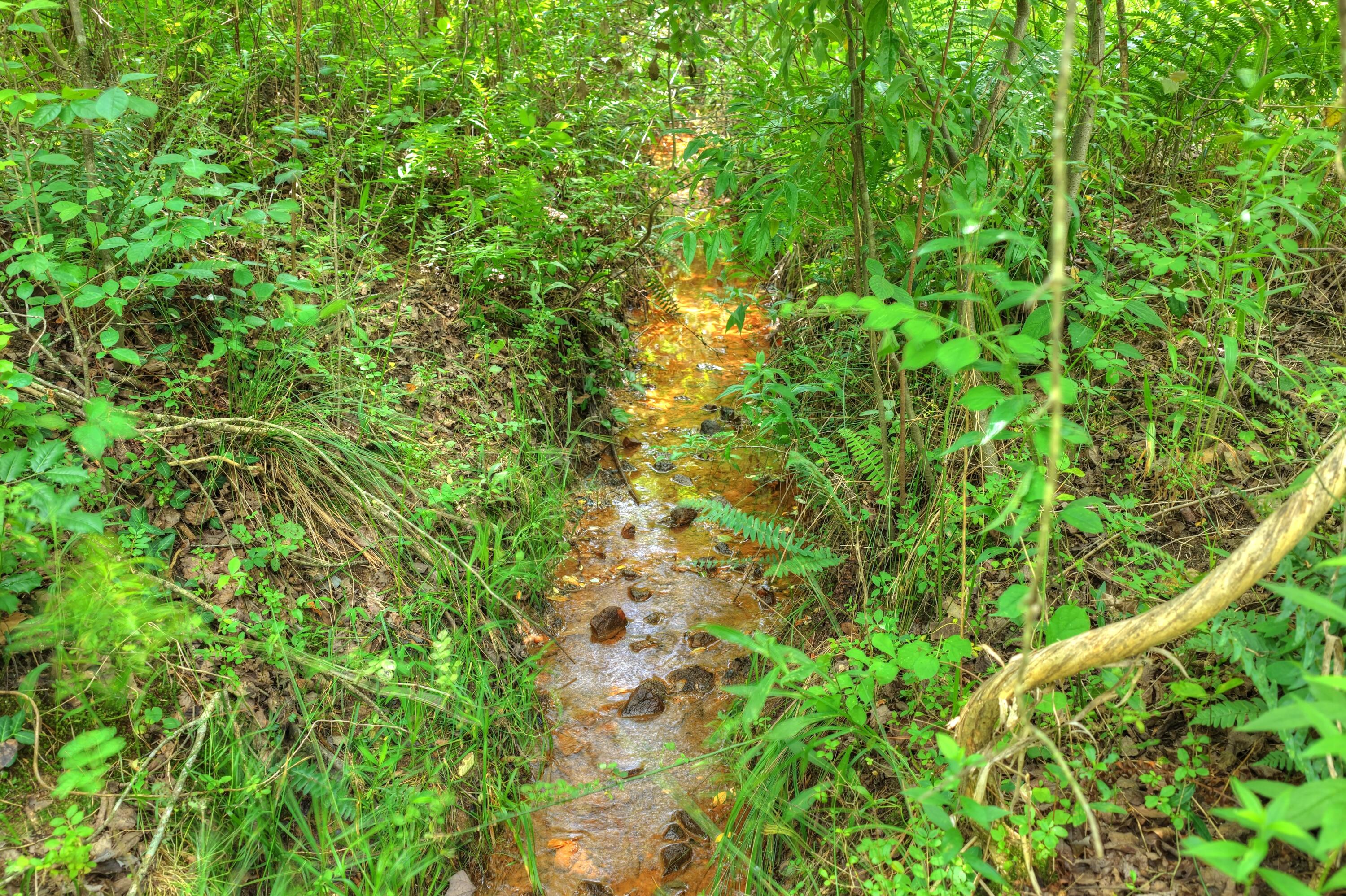 526 Airport Road Copperhill, TN 37317 - Photo 11 of 28 Airport Rd Byrd Property (10)