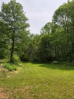 a view of a green yard next to a yard