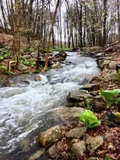 a view of outdoor space with trees