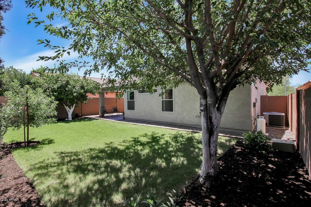 2120 East Danbury Road Phoenix, AZ 85022 - Photo 9 of 29 Shade Tree