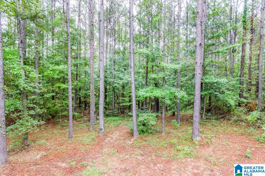 99 Joshua Road Pell City, AL 35128 - Photo 43 of 43