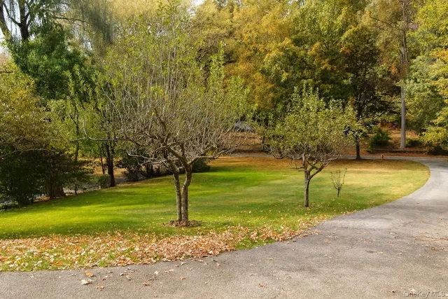 a view of a swimming pool with a yard
