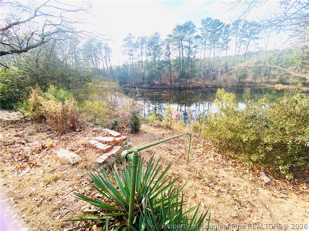 3909 Daytona Road Fayetteville, NC 28311 - Photo 27 of 31 WATER VIEW