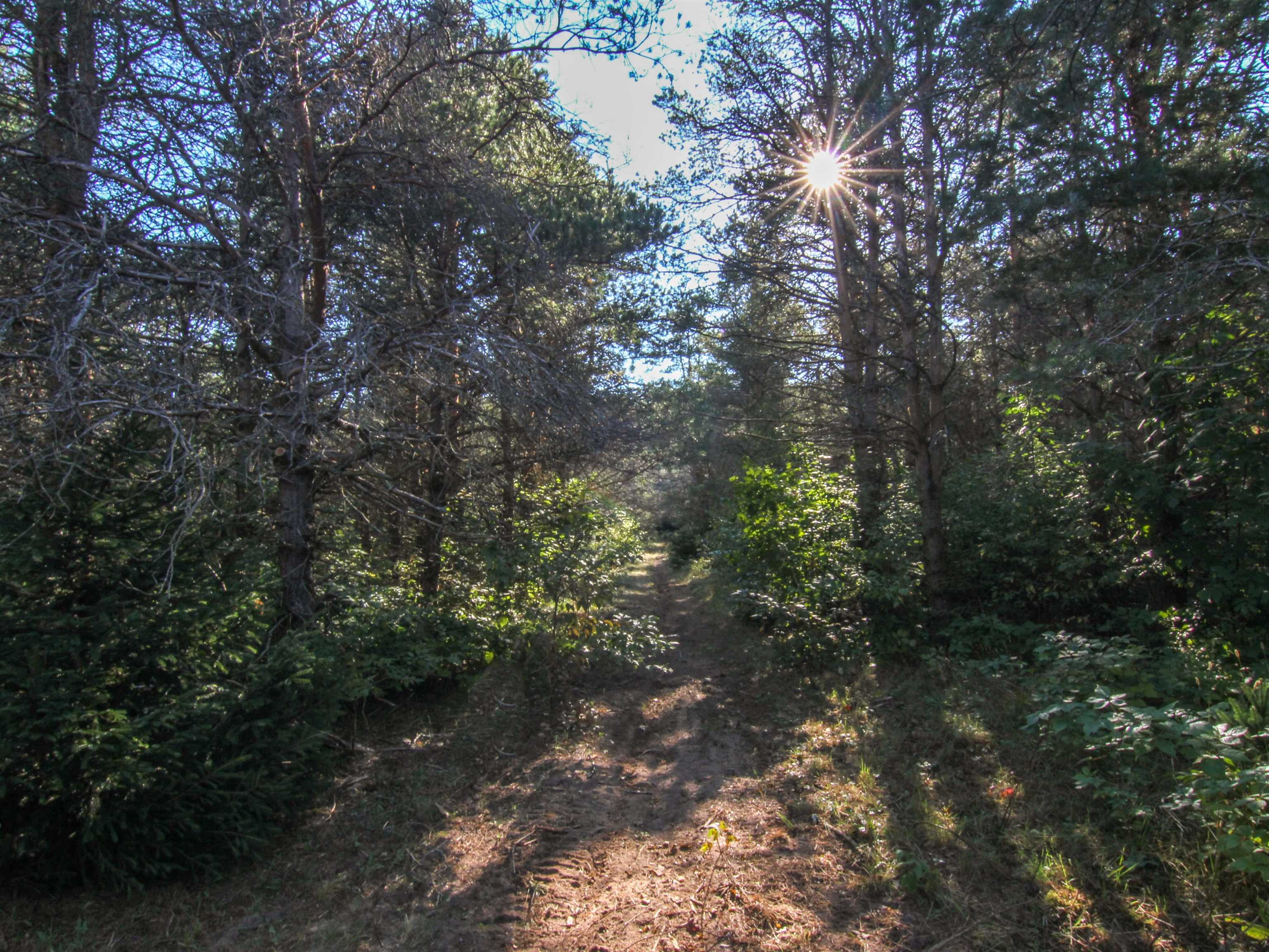9447 No 1 Road Copemish, MI 49625 - Photo 6 of 29 1904389-5.JPG