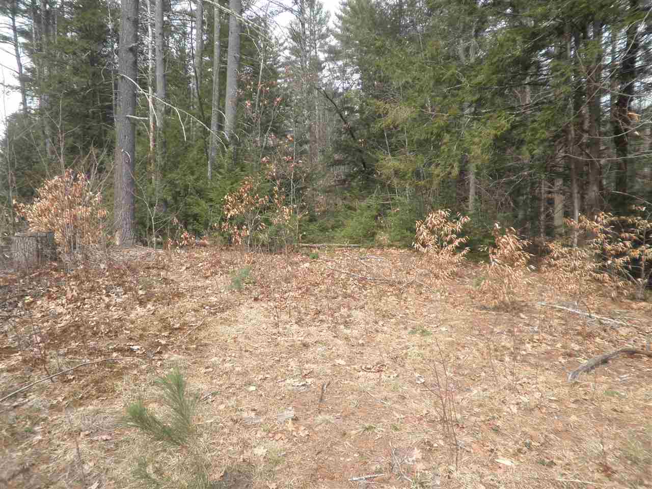 0 Little Frost Road Hopkinton, NH 03229 - Photo 3 of 5