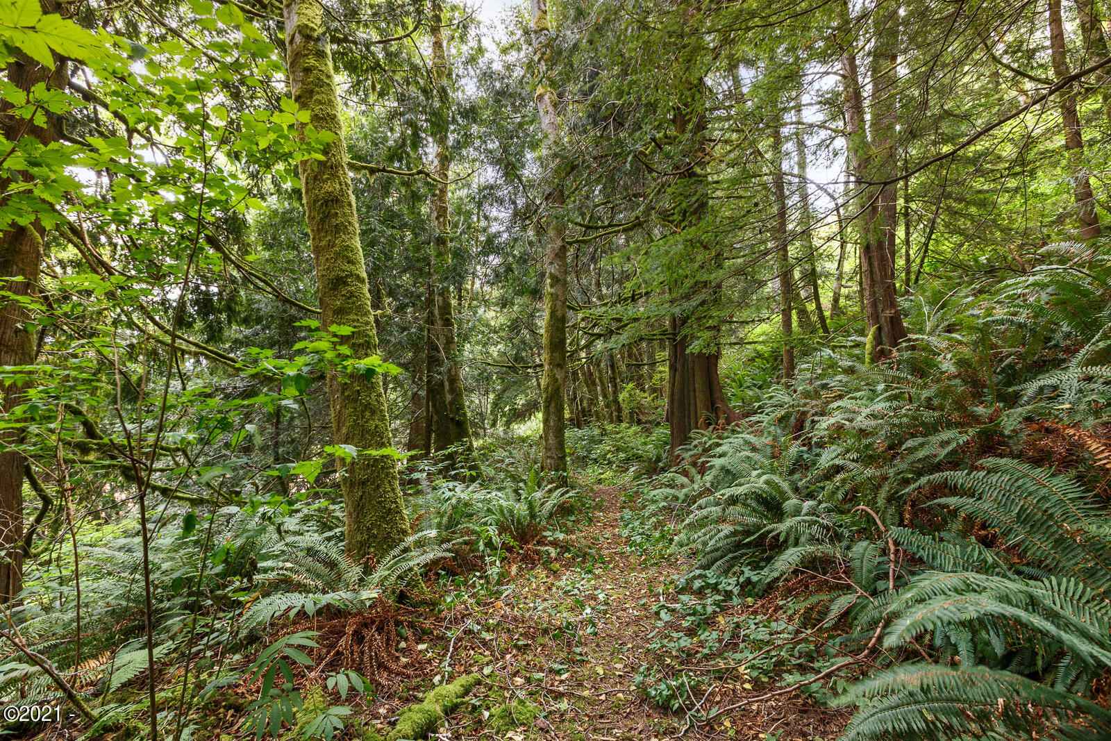 1207 Sandlake Road Cloverdale, OR 97112 - Photo 13 of 26 TL1207SandlakeRd-16