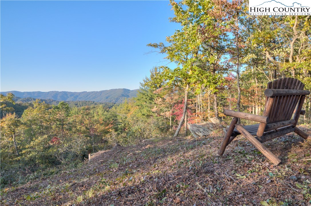 Lot 256 Red Cedar Road Boone, NC 28607 - Photo 2 of 22 Gallery Image 2
