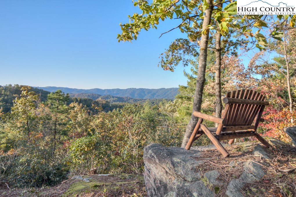 Lot 256 Red Cedar Road Boone, NC 28607 - Photo 3 of 22 Gallery Image 3