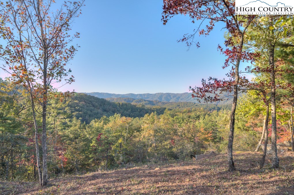 Lot 256 Red Cedar Road Boone, NC 28607 - Photo 4 of 22 Gallery Image 4