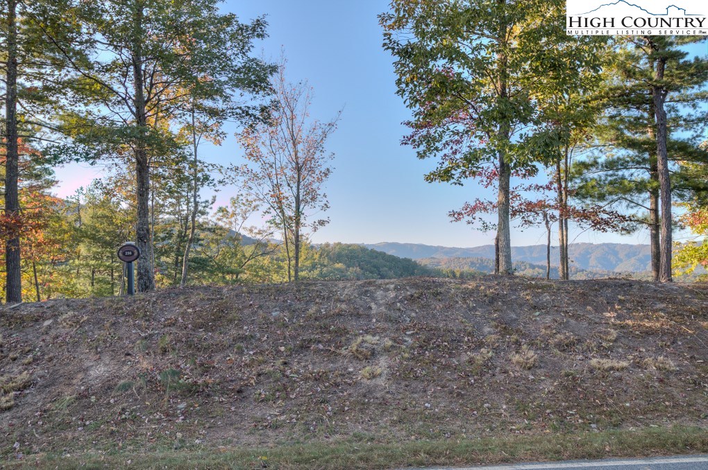 Lot 256 Red Cedar Road Boone, NC 28607 - Photo 5 of 22 Gallery Image 5