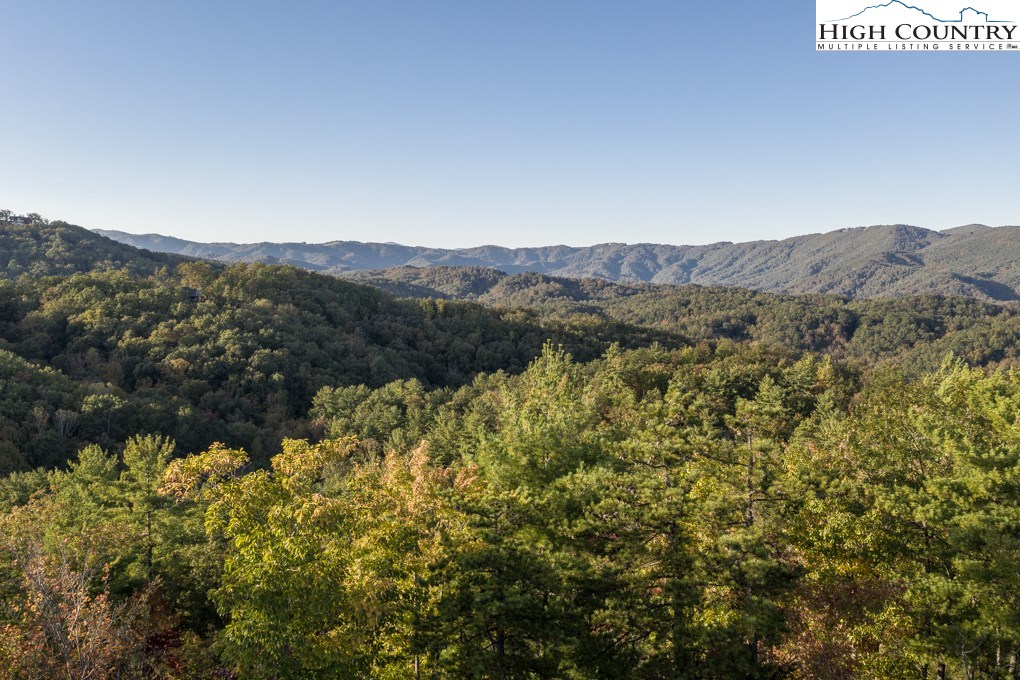 Lot 256 Red Cedar Road Boone, NC 28607 - Photo 6 of 22 Gallery Image 6