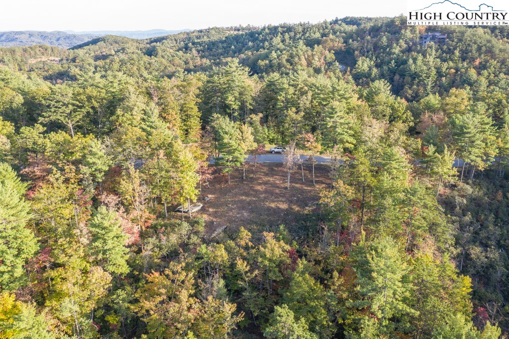 Lot 256 Red Cedar Road Boone, NC 28607 - Photo 7 of 22 Gallery Image 7