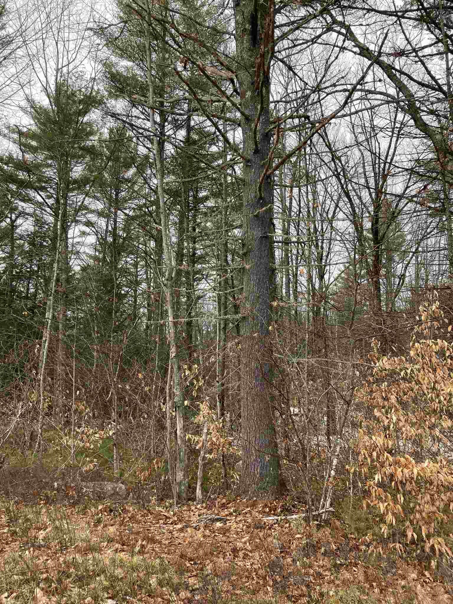 0 Old Goshen Road, Unit 12 Center Conway, NH 03813 - Photo 2 of 12