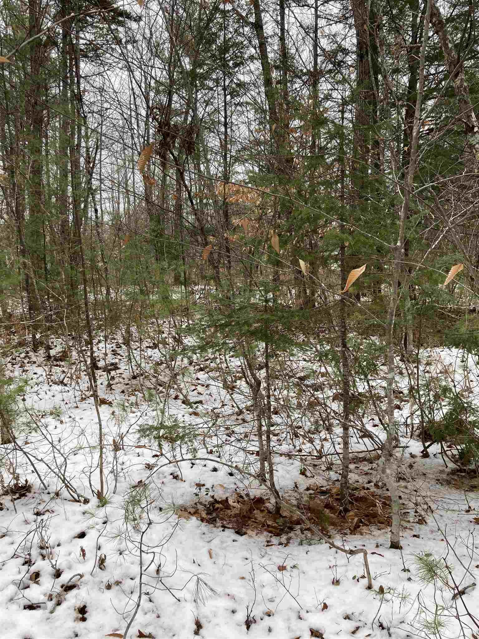 0 Old Goshen Road, Unit 12 Center Conway, NH 03813 - Photo 9 of 12