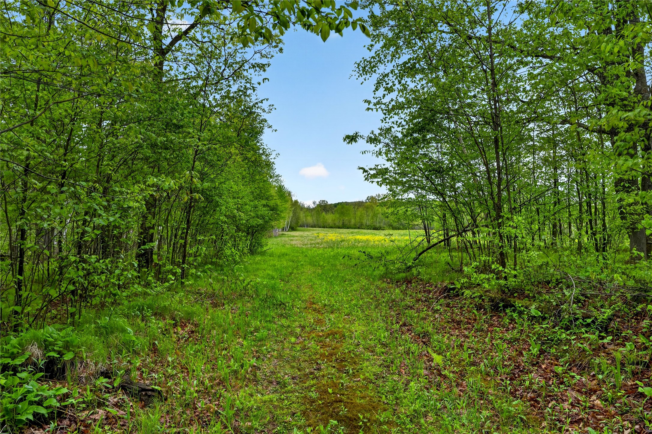 N8771 Fye Road Trego, WI 54888 - Photo 17 of 47