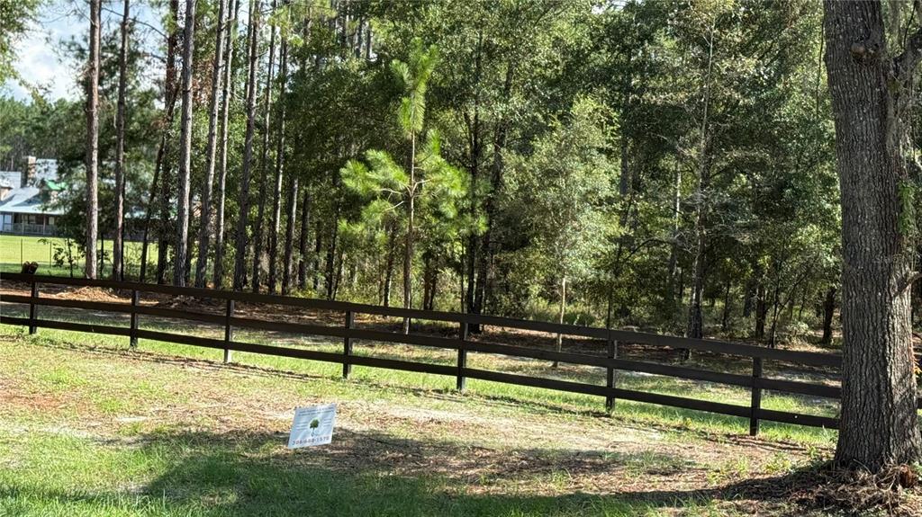 4972 Southwest Elim Church Road Fort White, FL 32038 - Photo 3 of 17 a view of a bench in the park