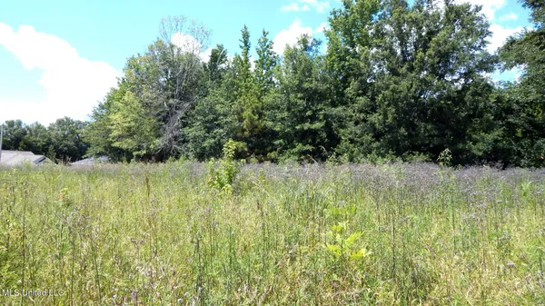 $10,000 | 24 Simmons Drive, Shannon, MS 38868