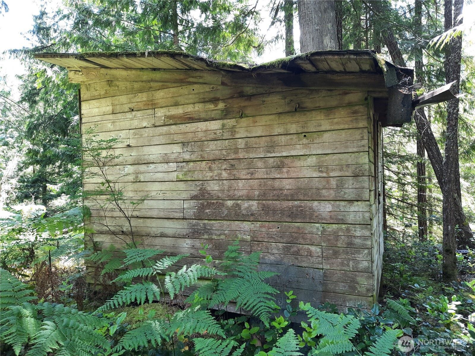 197 Cascade River Road Marblemount, WA 98267 - Photo 12 of 19 a bathroom with a shower