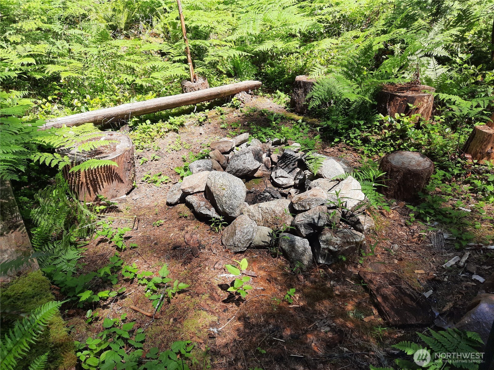 197 Cascade River Road Marblemount, WA 98267 - Photo 15 of 19 a picture of trees