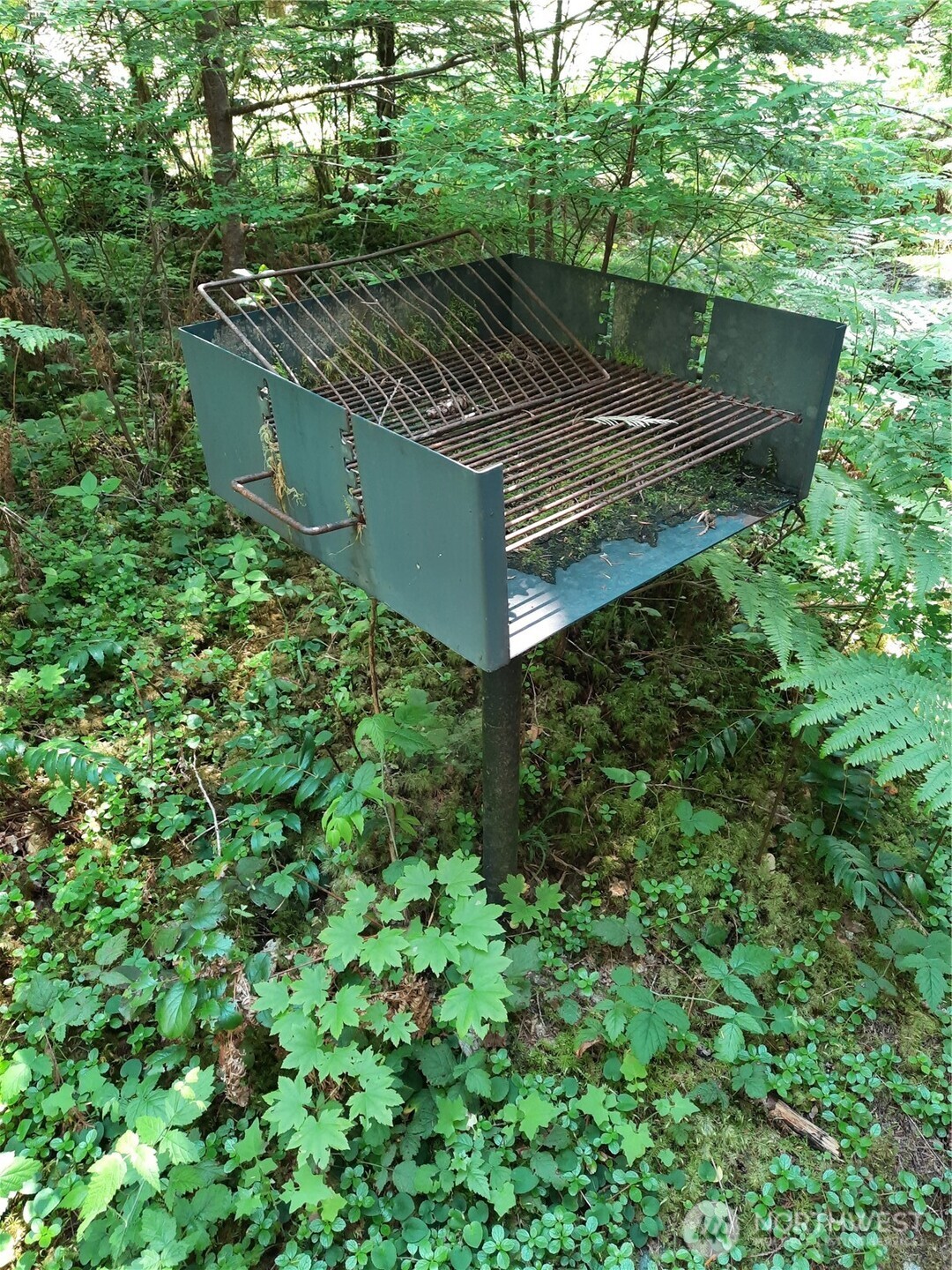 197 Cascade River Road Marblemount, WA 98267 - Photo 19 of 19 a view of a garden with a tree