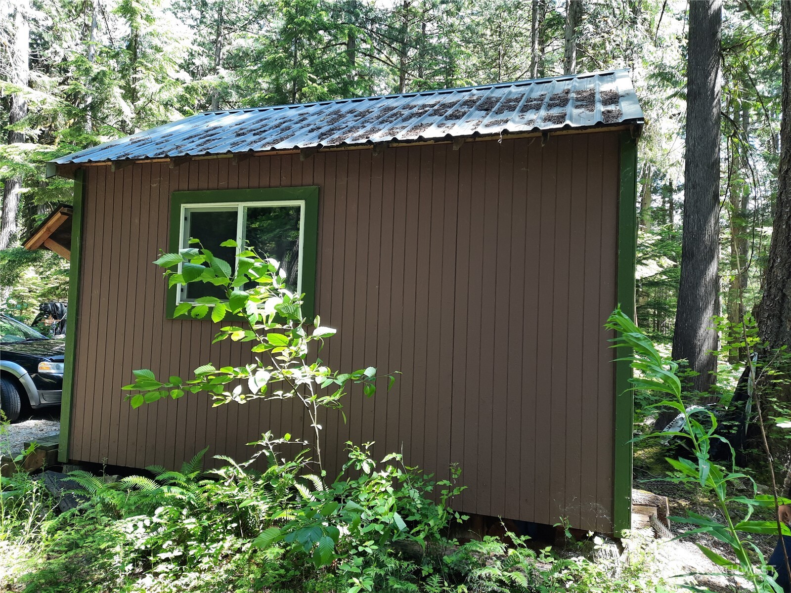 197 Cascade River Road Marblemount, WA 98267 - Photo 6 of 19 an outdoor space with plants