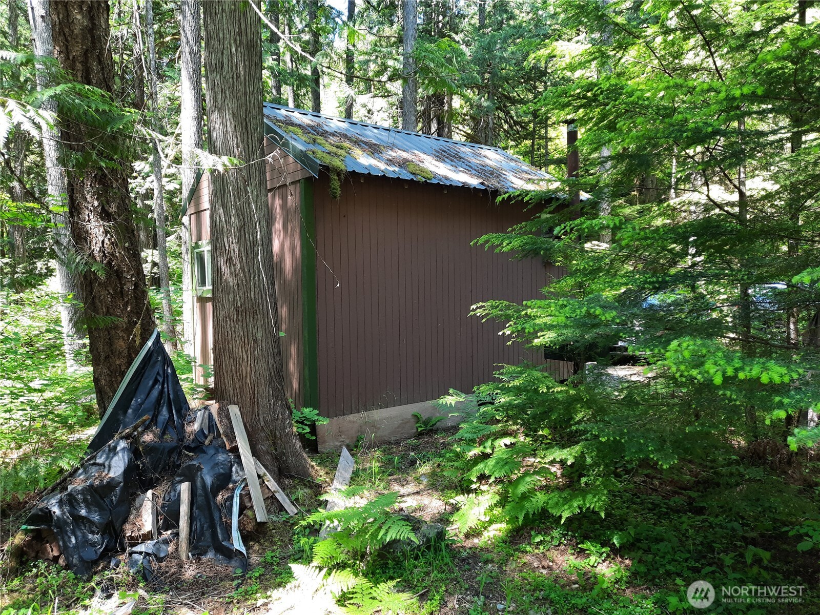 197 Cascade River Road Marblemount, WA 98267 - Photo 7 of 19 a view of a house with a tree