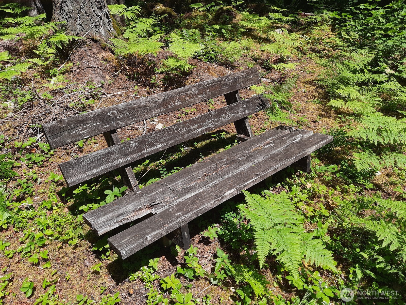 197 Cascade River Road Marblemount, WA 98267 - Photo 9 of 19 a view of a wooden bench in a garden