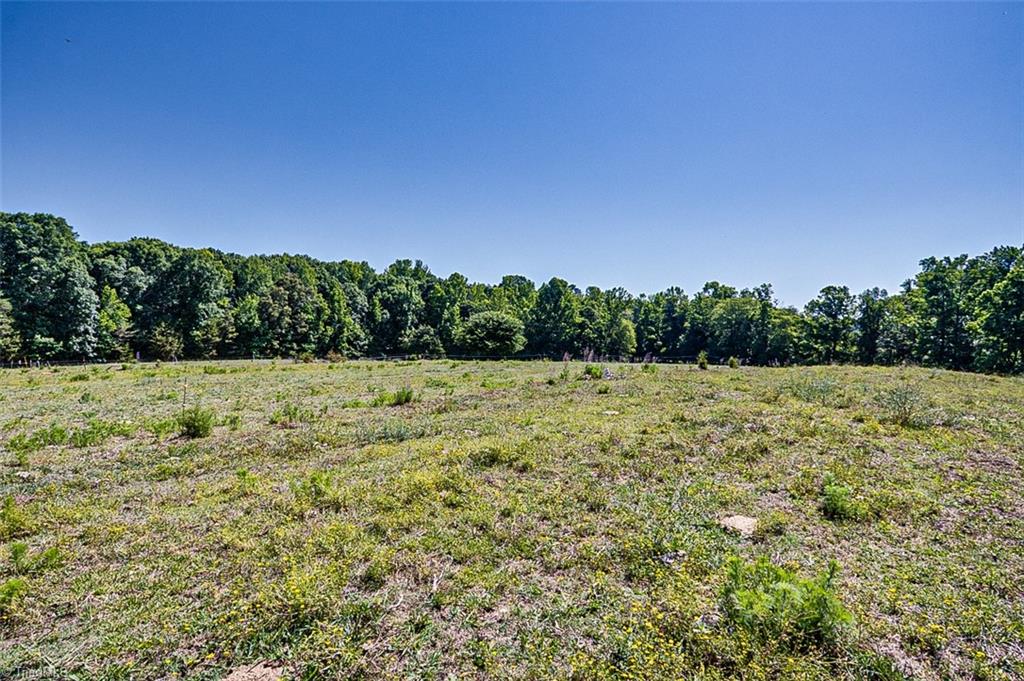 6620 Clyde King Road Seagrove, NC 27341 - Photo 32 of 44