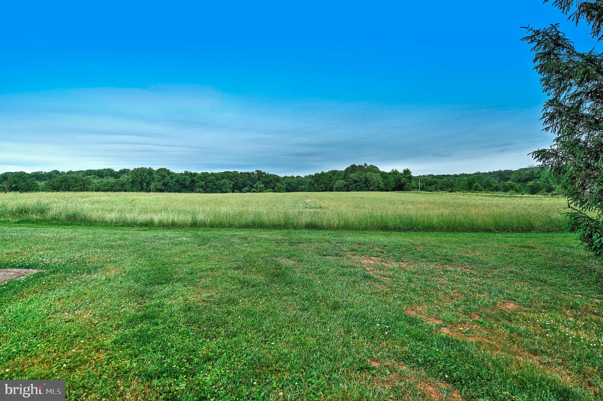 13524 Bottom Road Hydes, MD 21082 - Photo 13 of 64 View from backyard!