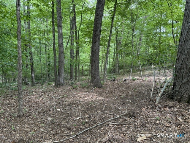 Lot10-b1 Foot Hills Road Higganum, CT 06441 - Photo 21 of 33 a view of outdoor space and view of trees