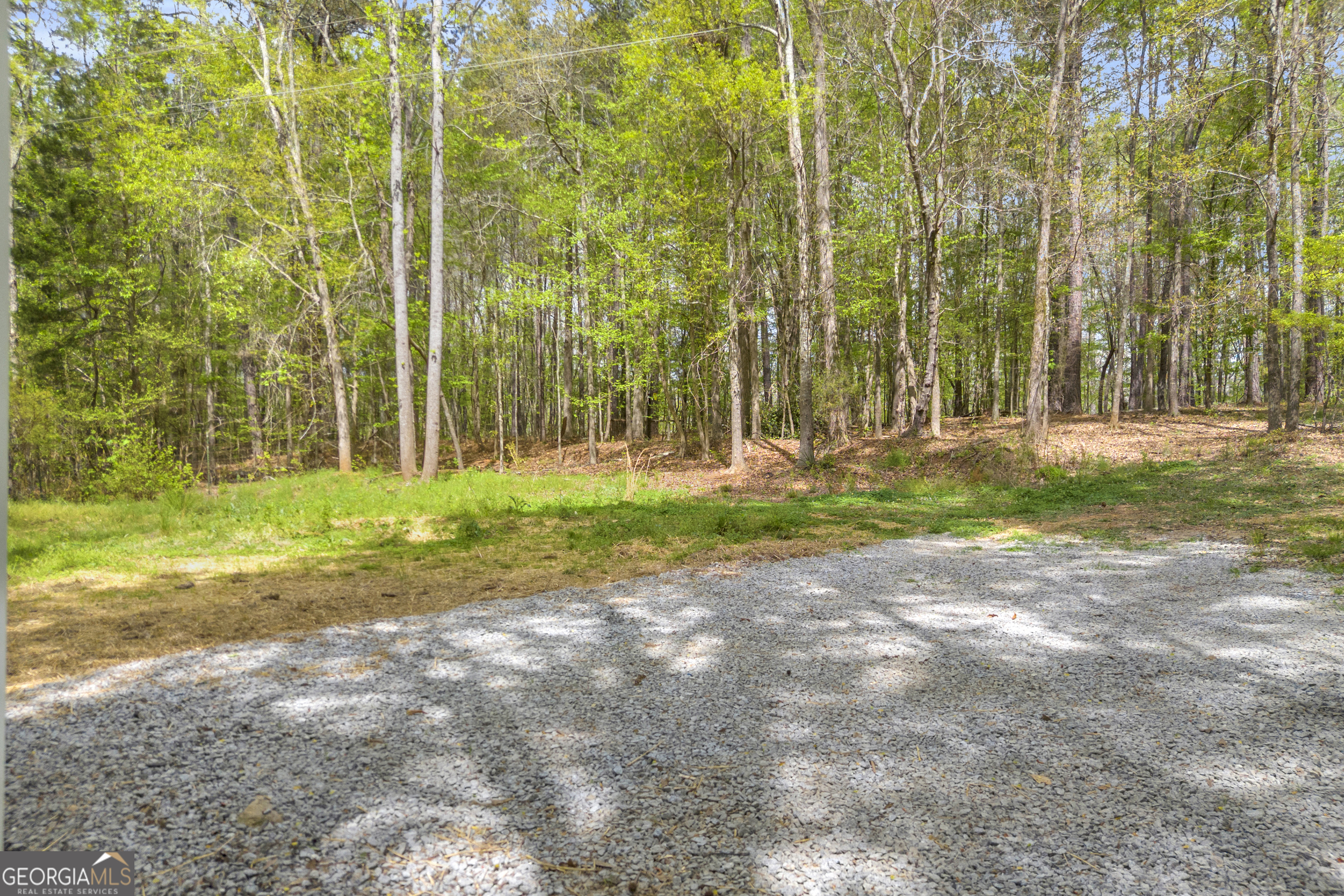 1144 Wolfskin Road Arnoldsville, GA 30619 - Photo 38 of 41 a backyard of a house with plants and large trees