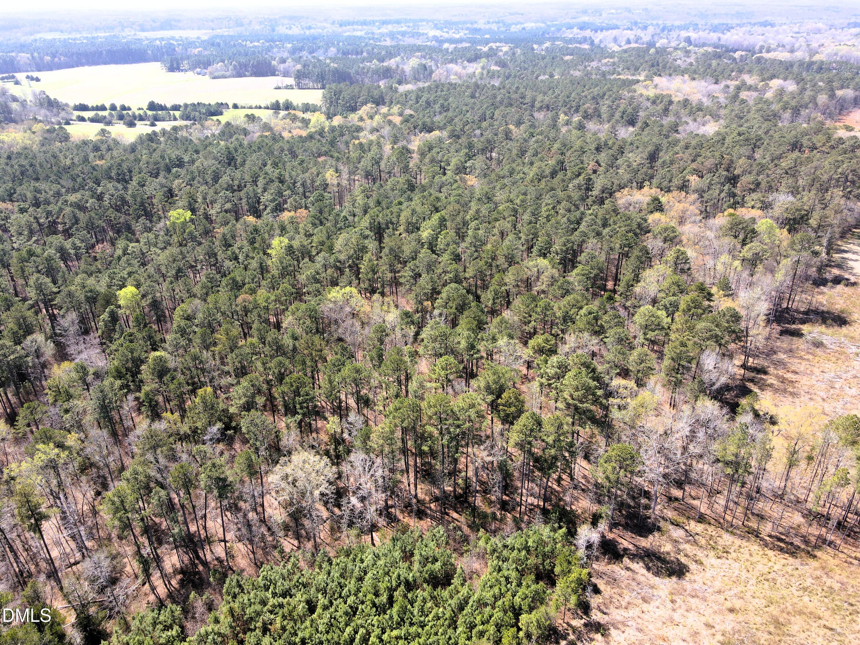 1 Collins Mountain Road Chapel Hill, NC 27516 - Photo 11 of 20 DJI_0645