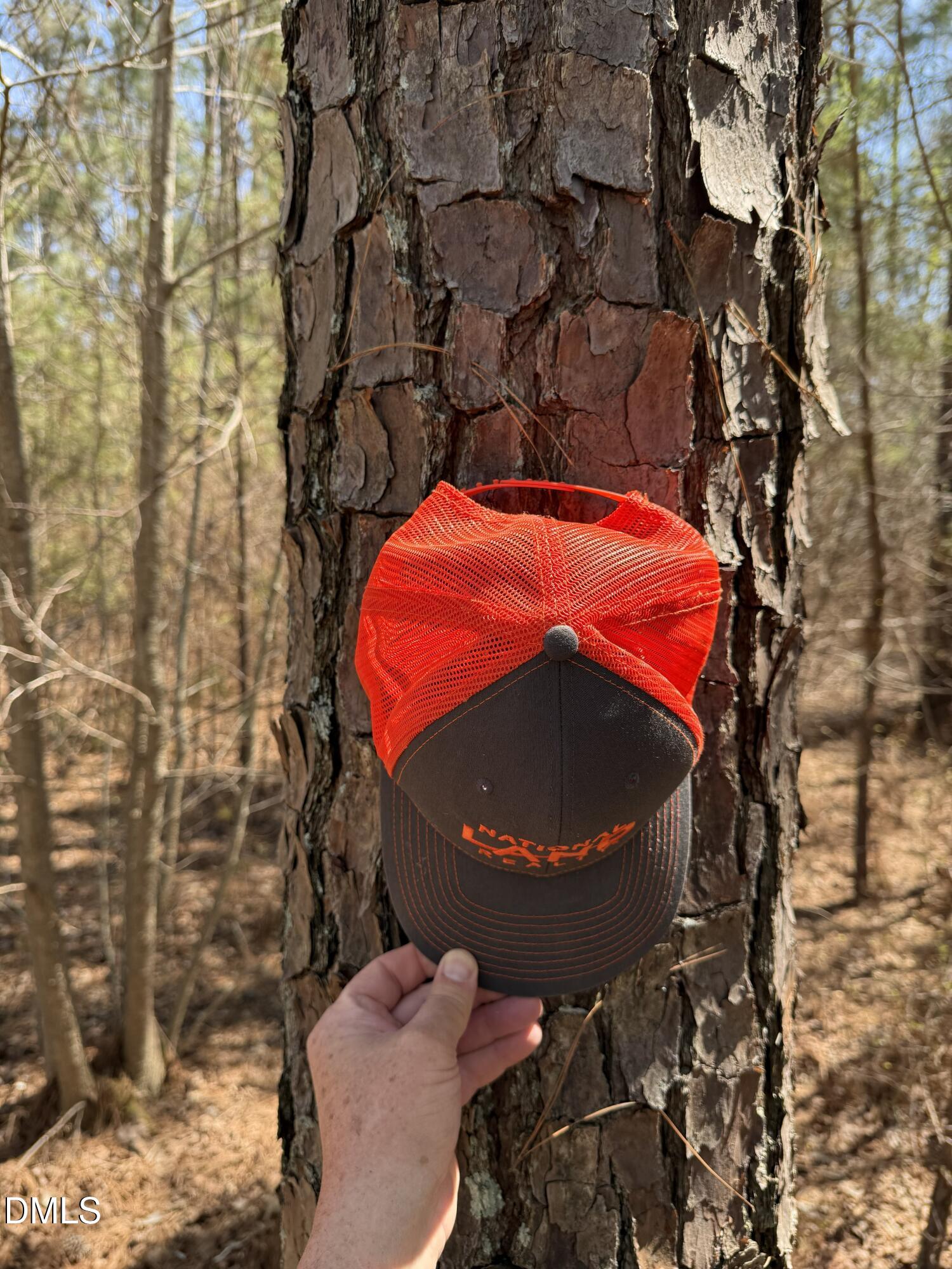 1 Collins Mountain Road Chapel Hill, NC 27516 - Photo 17 of 20 IMG_4211