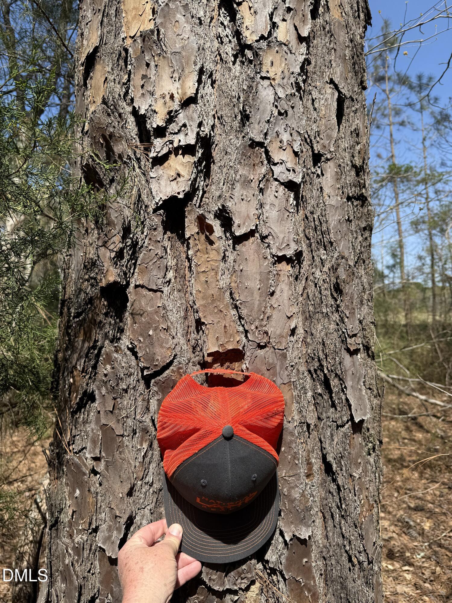 1 Collins Mountain Road Chapel Hill, NC 27516 - Photo 18 of 20 IMG_4212