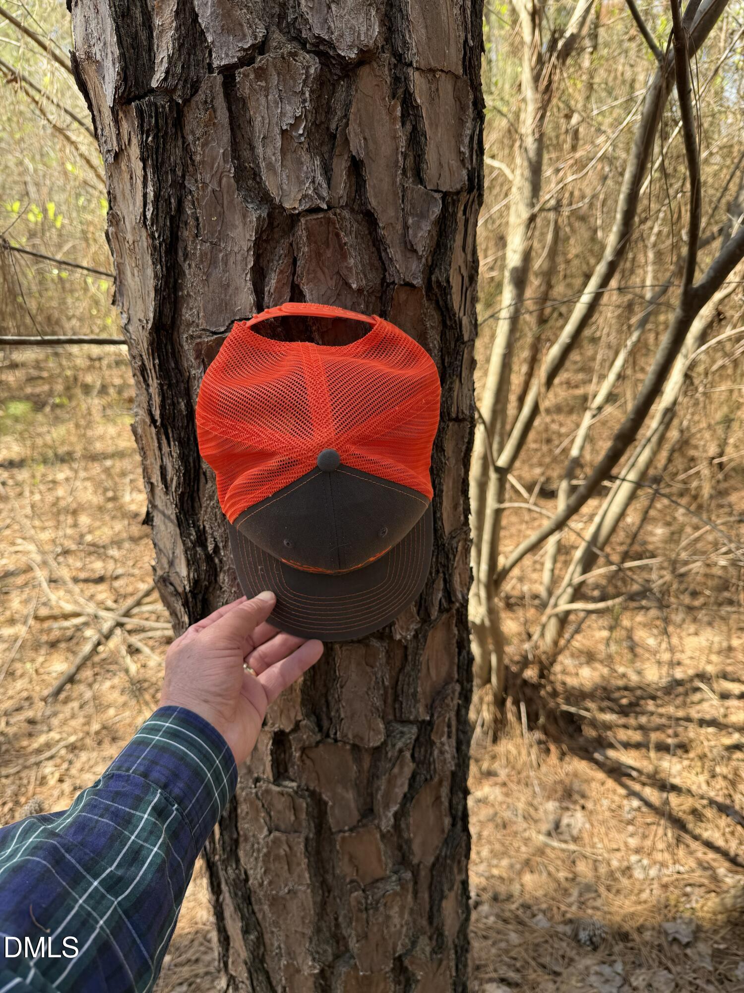 1 Collins Mountain Road Chapel Hill, NC 27516 - Photo 19 of 20 IMG_4214