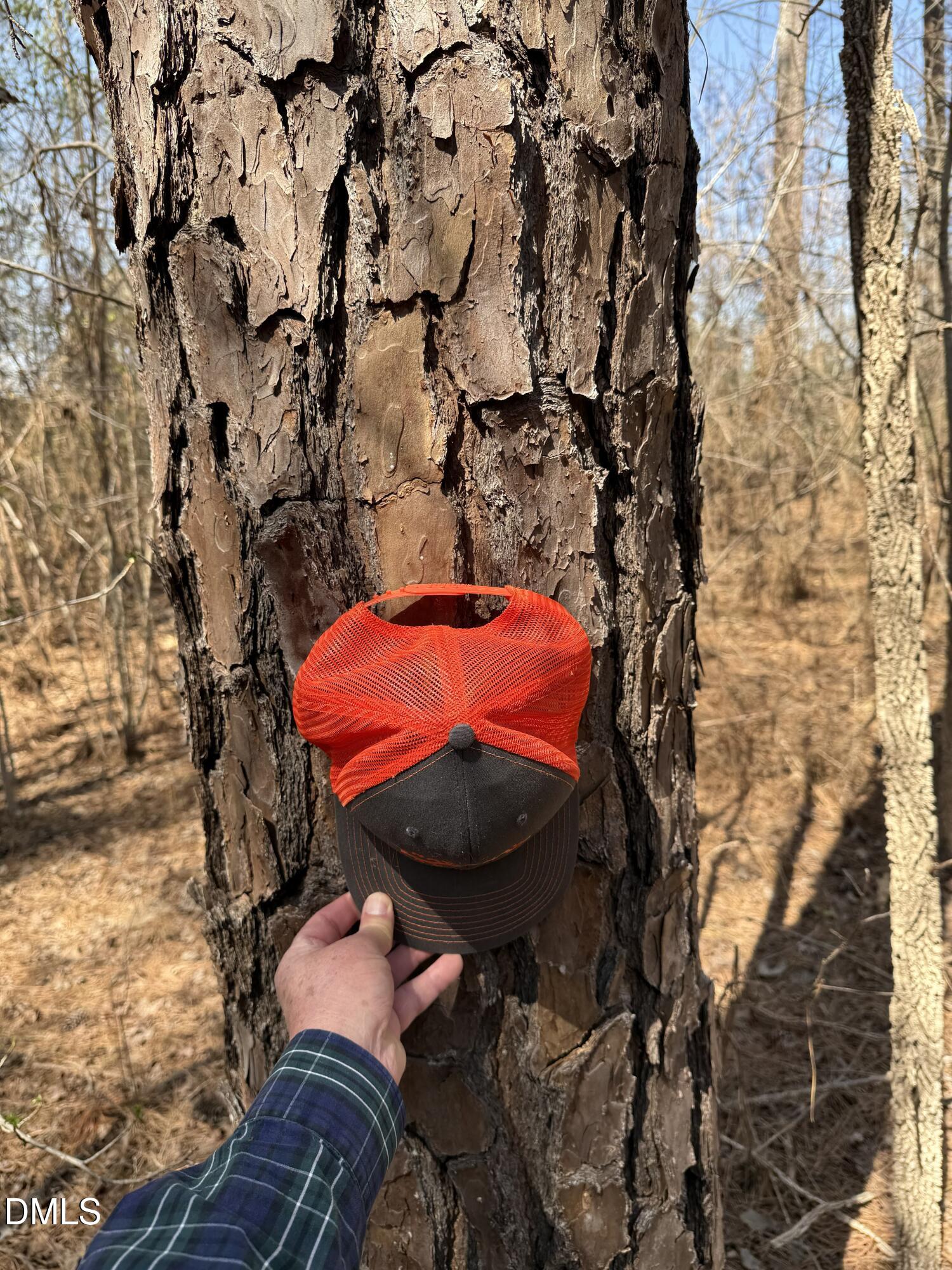 1 Collins Mountain Road Chapel Hill, NC 27516 - Photo 20 of 20 IMG_4215