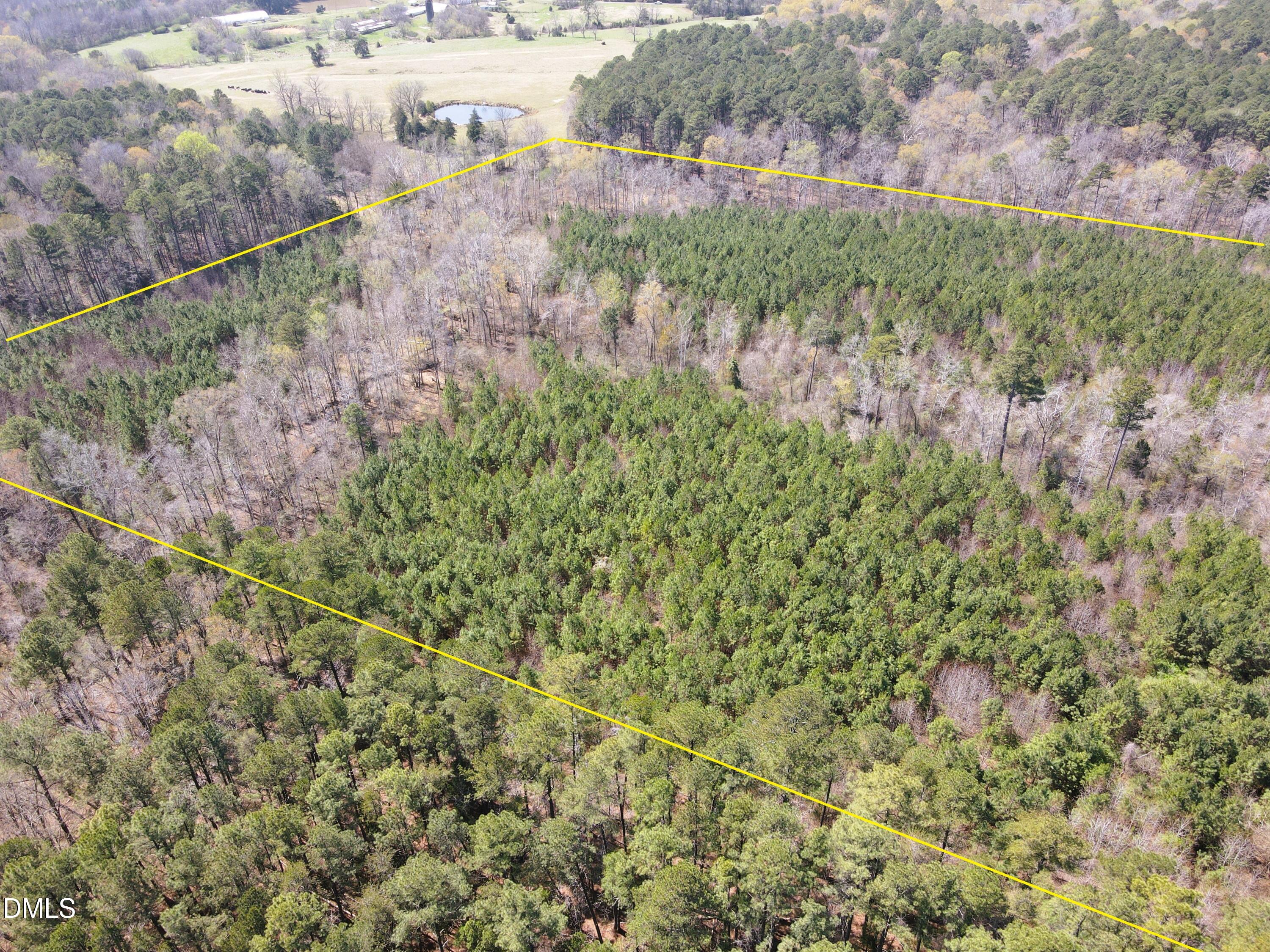 1 Collins Mountain Road Chapel Hill, NC 27516 - Photo 6 of 20 DJI_0637